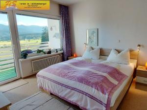 Apartment Ambiente