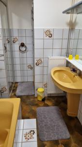 Appartements Beau logement autonome a 15 mn du centre de Dijon : photos des chambres