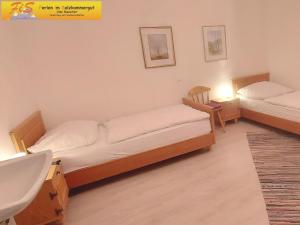 Apartment Alpenpanorama