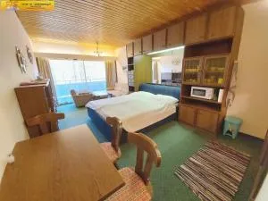 Apartment Mary - Klachau