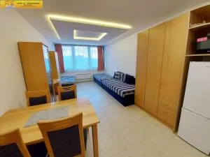 Apartment Christina - Klachau