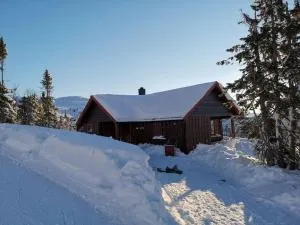 Høyfjellshytte - Nes i Ådal