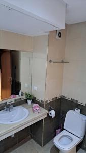 Meilleur appartement au centre ville