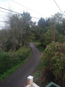 La Bergeronnette Le Buisson