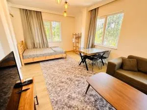 Merkezi, geniş daire - Orta