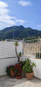 Gigi centralissimo appartamento Ischia Lacco Ameno