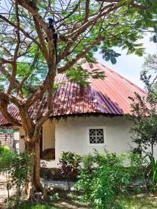 Bushbaby Cottage Diani Beach - with Starlink Highspeed Internet !!!! - Galu