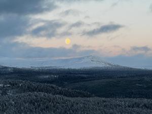 Ljusnedal lägenhet med golf, paddel, fiske och skidåkning