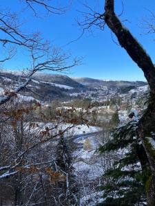 Appartements Appartement 4-6 pers - La Bourboule : photos des chambres