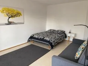 Studio 35 - centre ville, proche Bâle - Унінг