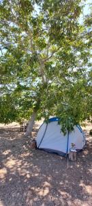 La Sosta del Viandante - Camping