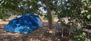 La Sosta del Viandante - Camping