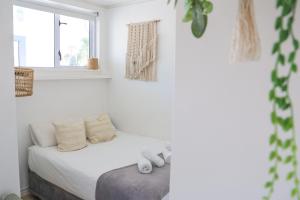 Breathtaking Views Studio in Sea Point