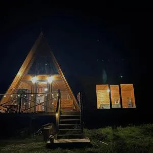 ''Sunflower'' - Dushetʼi