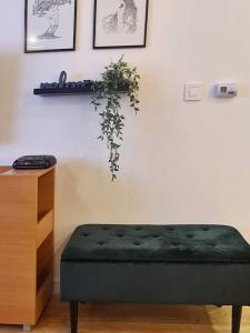 Cozy Mountain Apartment VIDIK