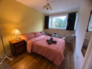 Quiet Double Room - Berkshire