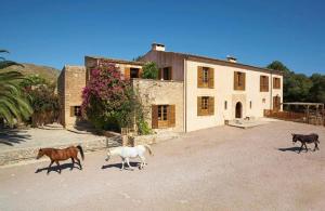 Sa Mesquida de D’alt