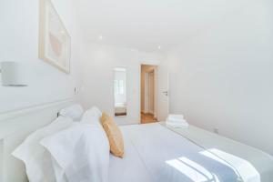 Blue Charm - Campolide Apartments