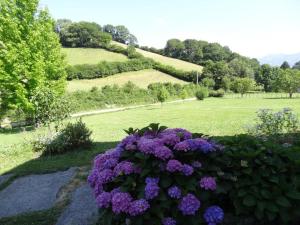 Maisons de vacances Ferme uhartea : photos des chambres