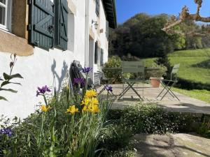 Maisons de vacances Ferme uhartea : photos des chambres