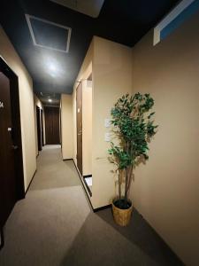 e-hostel 心斎橋 205