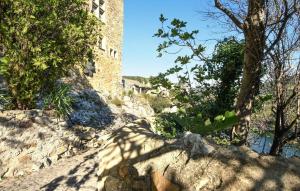 Maisons de vacances 1 Bedroom Stunning Home In Aigueze : photos des chambres
