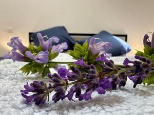 Esprit Charentais - The Bothy