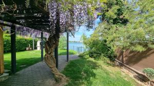 TopSenec-Lakeside Home