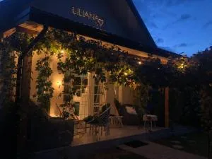 Domek w Pieninach Apartament Pałacowy Liliana - 亚沃尔基