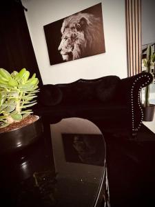 Villas L etoile : photos des chambres