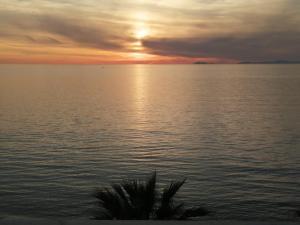 Mirasol