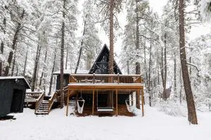 Pet-Friendly Pine Cabin with Hot Tub and Fire Pit! - Pine