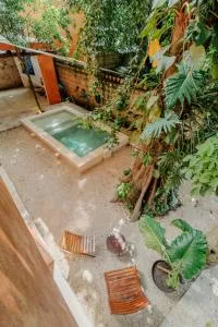 Mamachá - Natural Residence - Kunkunul