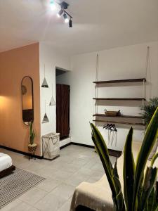 CASA DE LUZ Playa del Carmen