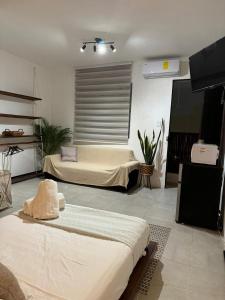 CASA DE LUZ Playa del Carmen