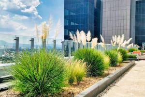 FIFA World Cup Ready Polanco PH Panoramic Views
