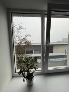 Central Cosy-Turistu Mitne