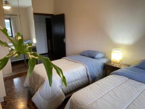 Apartamento tropical no centro de Pomerode