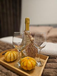 Cozy Residence Orawska 5