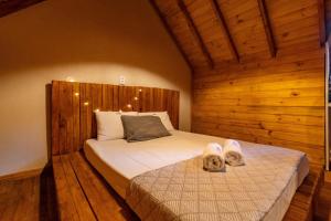 Rosa Green House Canela