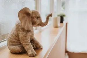 The Grove - Wellington