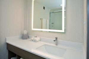Standard Room room in Holiday Inn Express Hotel & Suites Dover an IHG Hotel