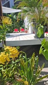 Amandas Place Casita Carinosa - pool and tropical garden