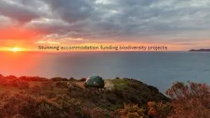 Escarpment Domes - Plimmerton