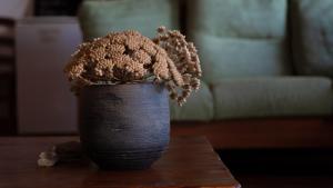 Rebeccu Arte e Ospitalità - Ostello img14