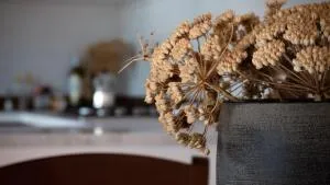 Rebeccu Arte e Ospitalità - Ostello - Ittireddu