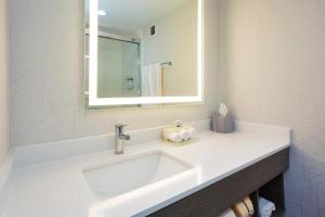 Standard Queen Room with Roll In Shower - Mobility/Communications Accessible room in Holiday Inn Express Hotel & Suites Dover an IHG Hotel