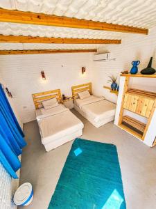 Blue point camp