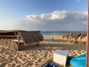 Blue point camp