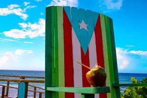 Sea View Wonder - Playa Jobos 1 - Aguacate